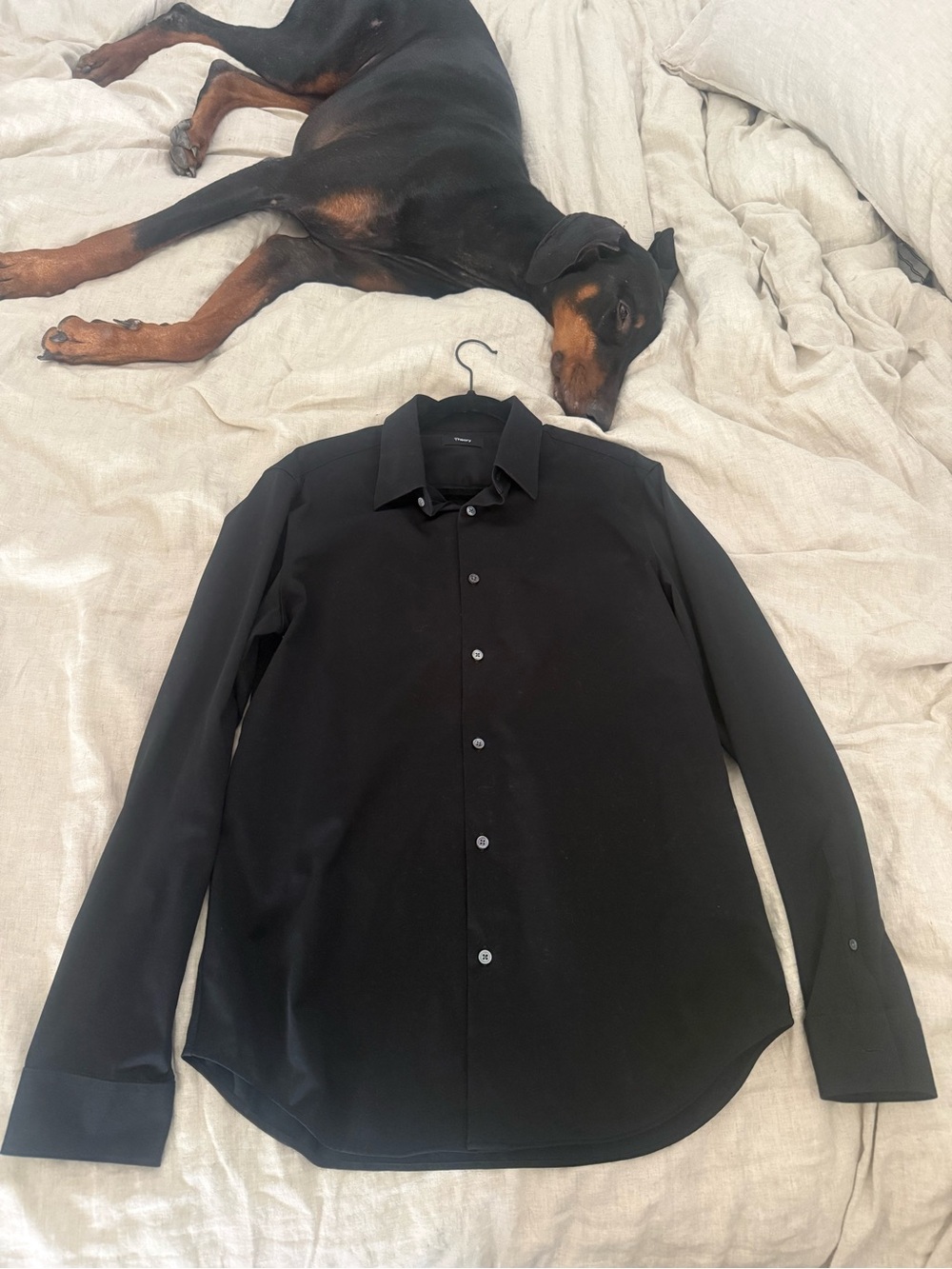 Men's Theory Black Dress Shirt - Classic Button-Up